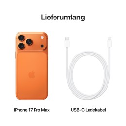iPhone 17 Pro Max 1Tb (2 esim)