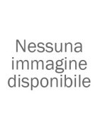 Xiaomi-Telephone